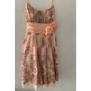 Gorgeous Sparkly Peach Dress